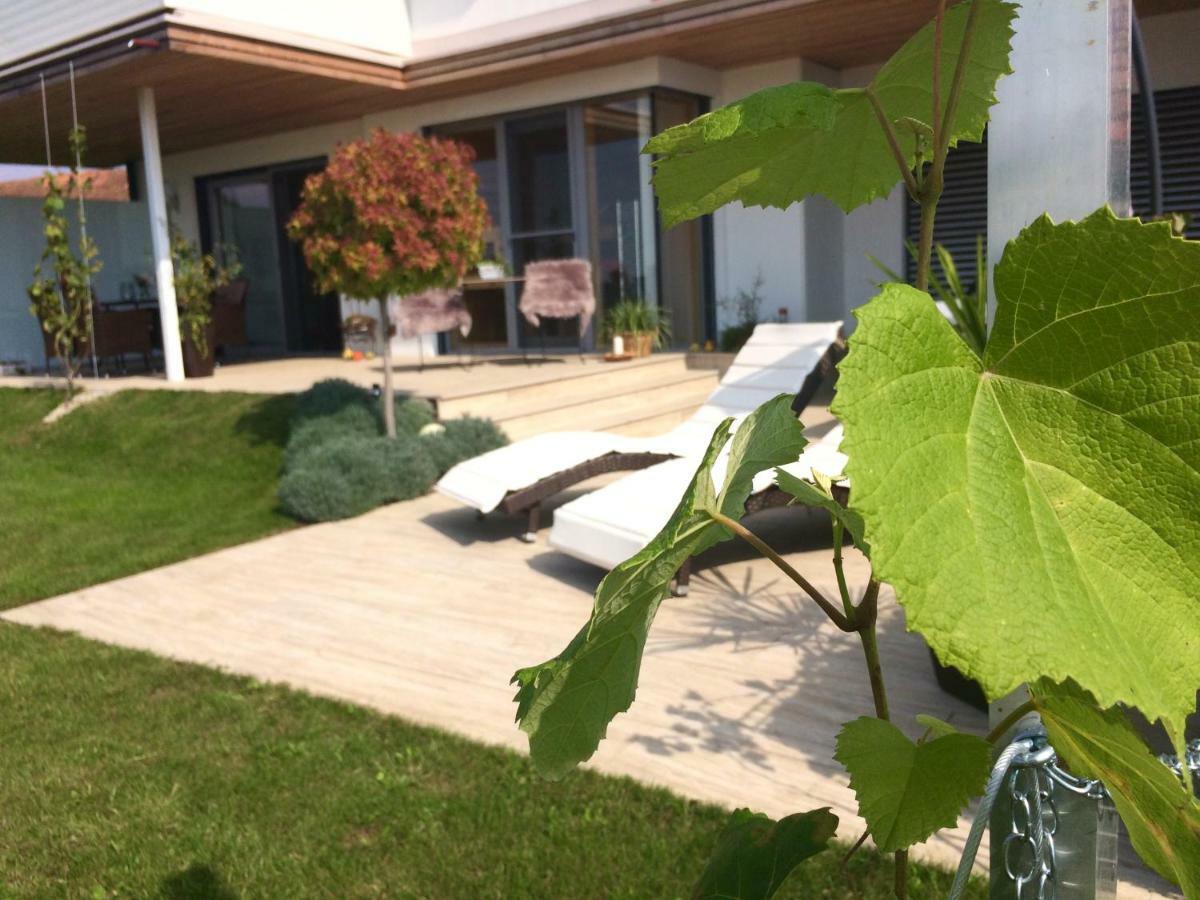 Nikolaier Weinblick - Ferienwohnung Muskateller Sankt Nikolai ob Draßling Exterior foto